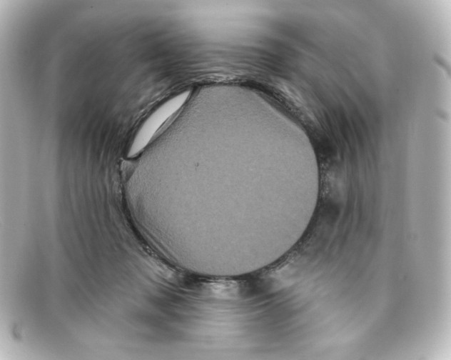 X0000098150317200805081047