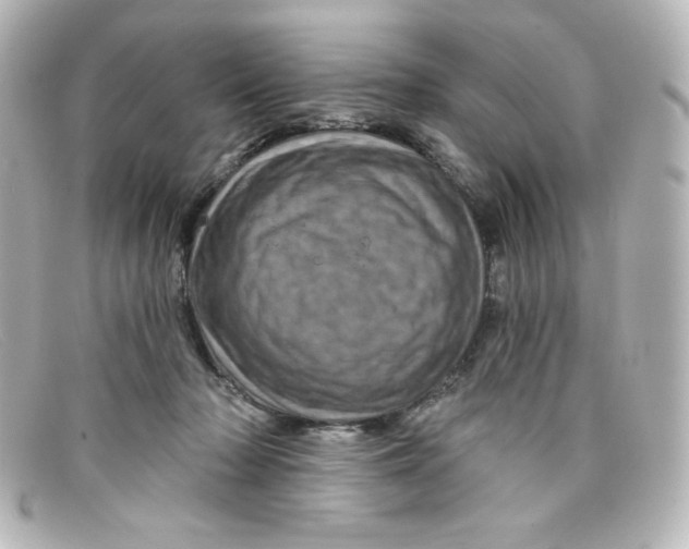 X0000098150318200805081047