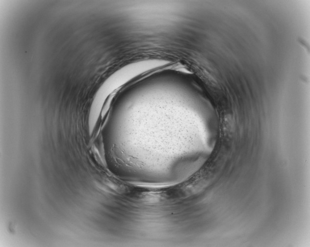 X0000098150320200805081047