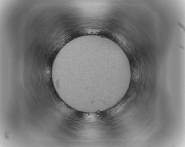 X0000098150321200805081047