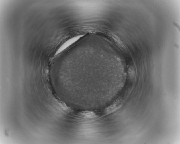 X0000098150322200805081047