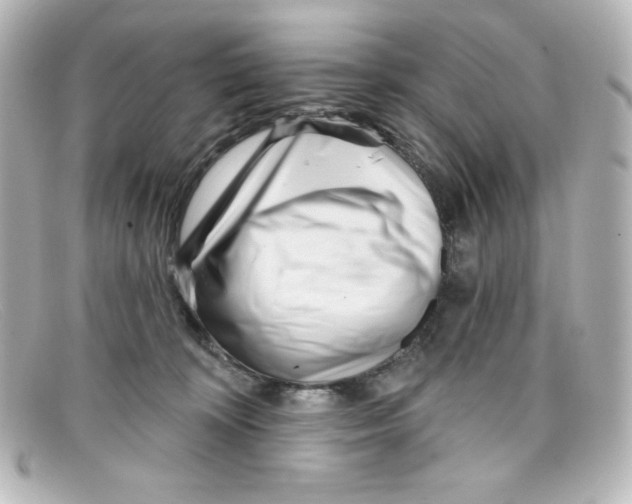 X0000098150324200805081047