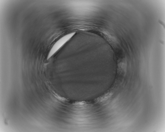 X0000098150325200805081047