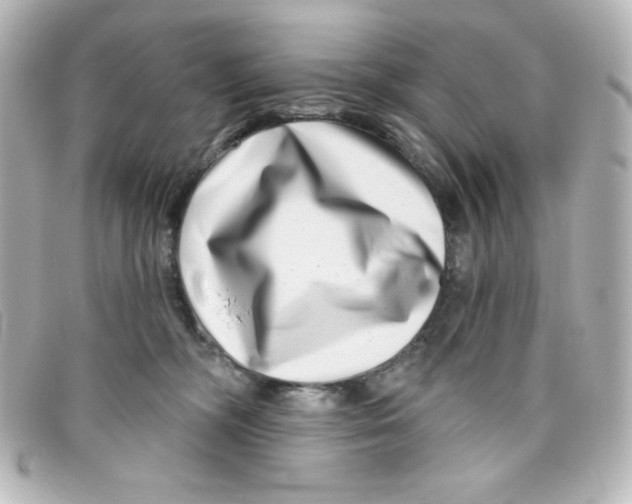 X0000098150326200805081047