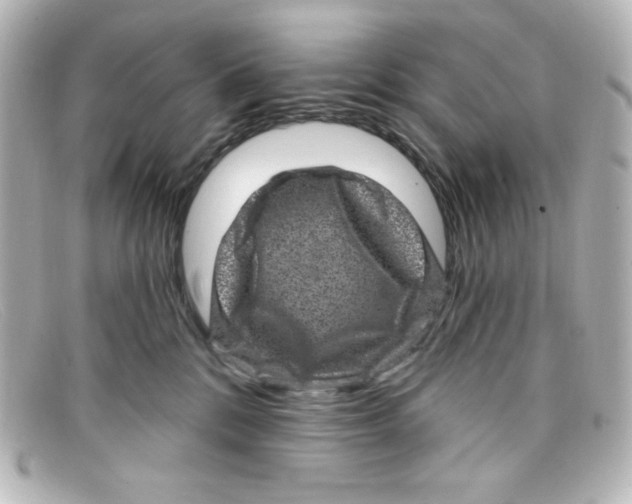 X0000098150328200805081047