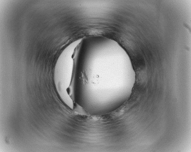 X0000098150329200805081047