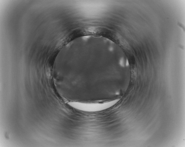 X0000098150331200805081047