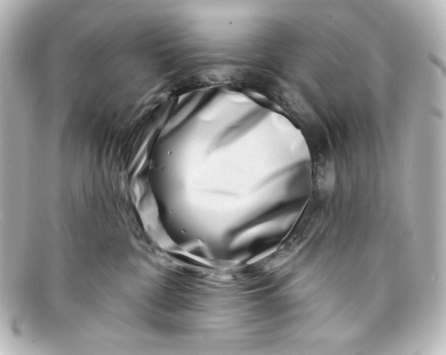 X0000098150332200805081047
