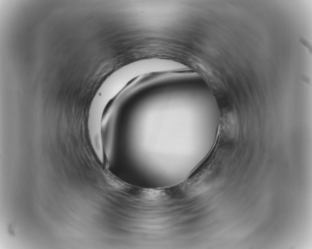 X0000098150333200805081047