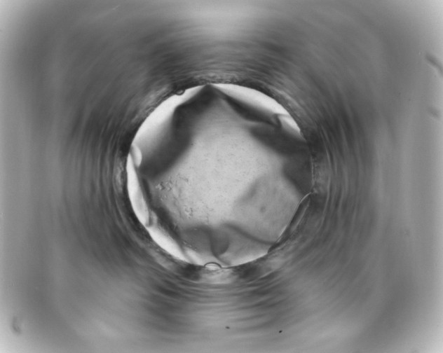 X0000098150334200805081047