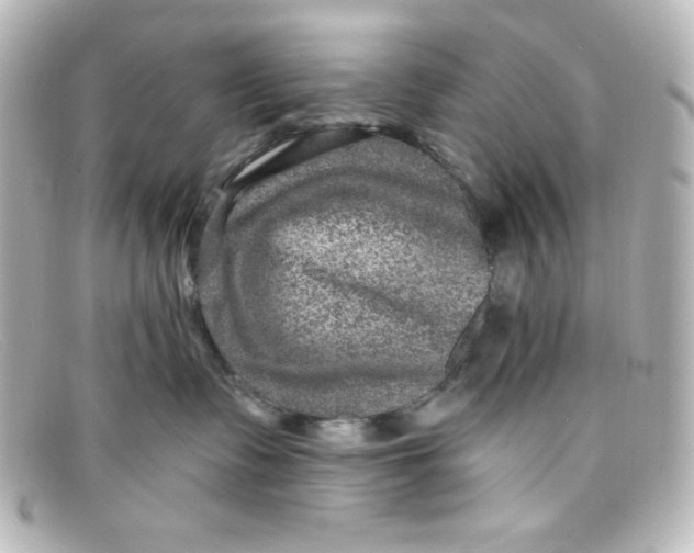 X0000098150335200805081047