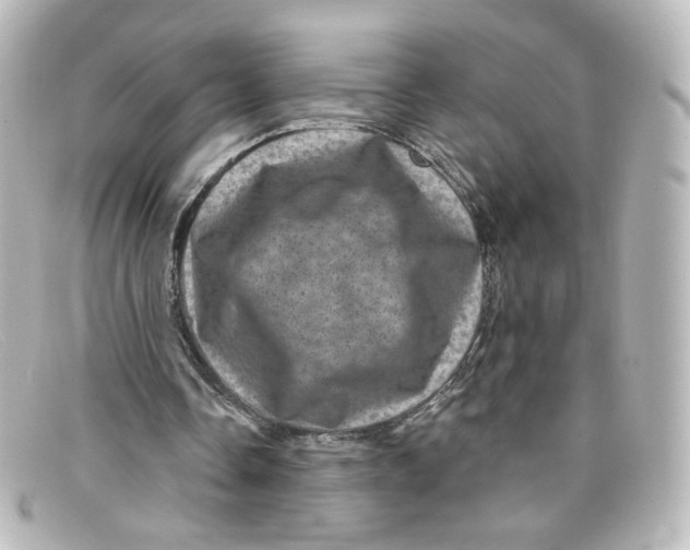 X0000098150338200805081046