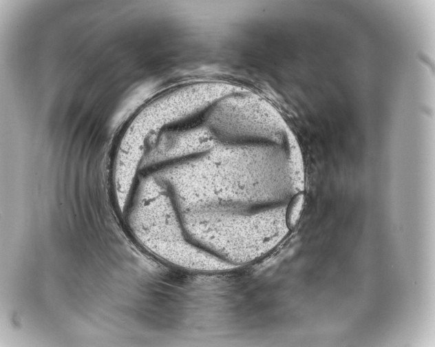 X0000098150341200805081046