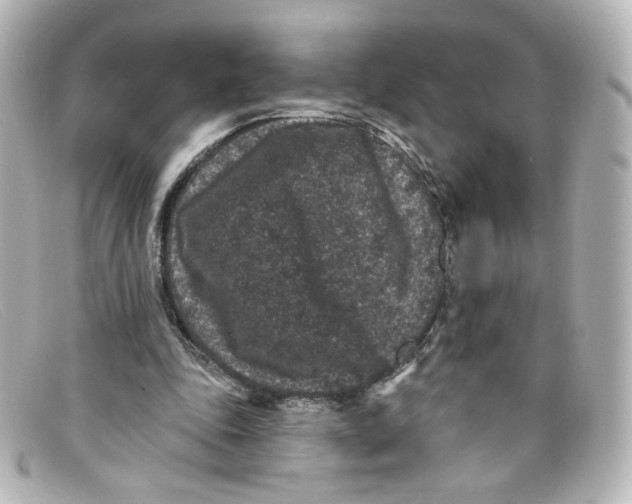 X0000098150343200805081047