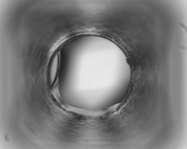 X0000098150344200805081047