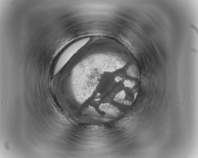 X0000098150347200805081047