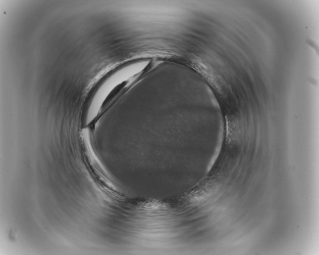 X0000098150348200805081047