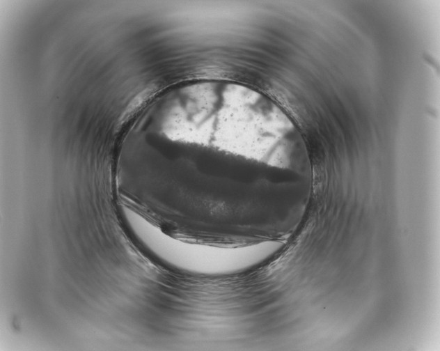 X0000098150349200805081047