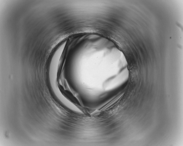 X0000098150350200805081047
