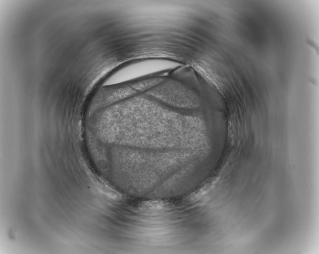 X0000098150351200805081047