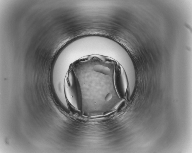 X0000098150352200805081047