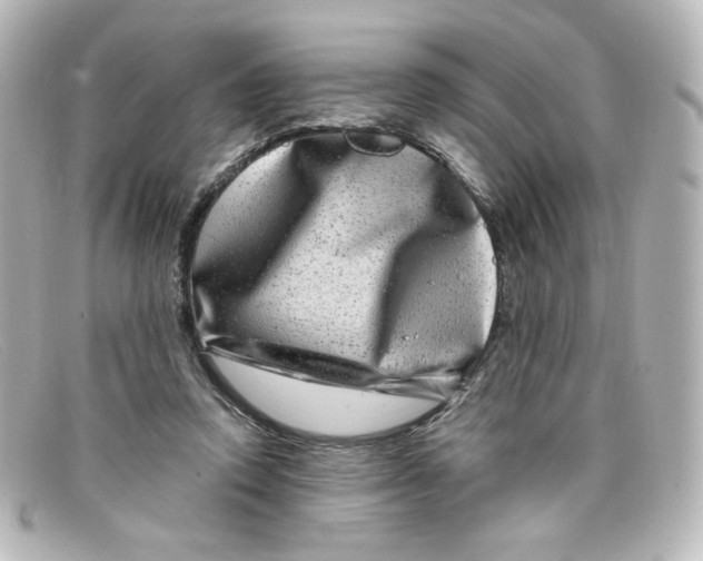X0000098150354200805081047
