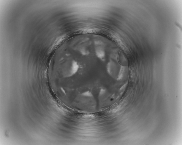 X0000098150357200805081047