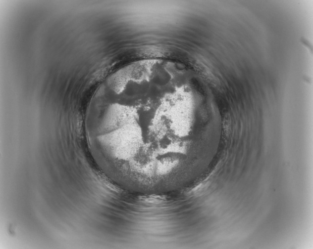 X0000098150359200805081047