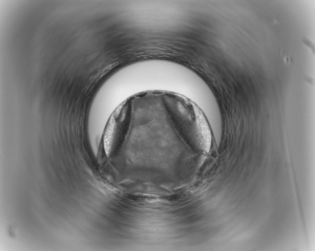 X0000098150360200805081047