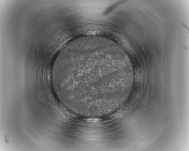 X0000098150363200805081047