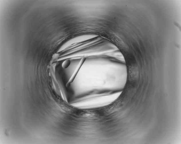 X0000098150364200805081047