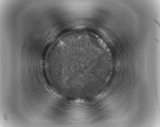 X0000098150366200805081047