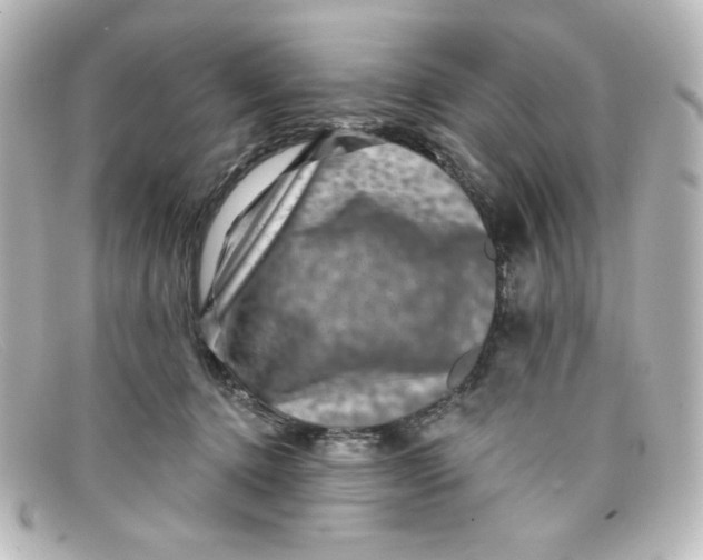 X0000098150368200805081047