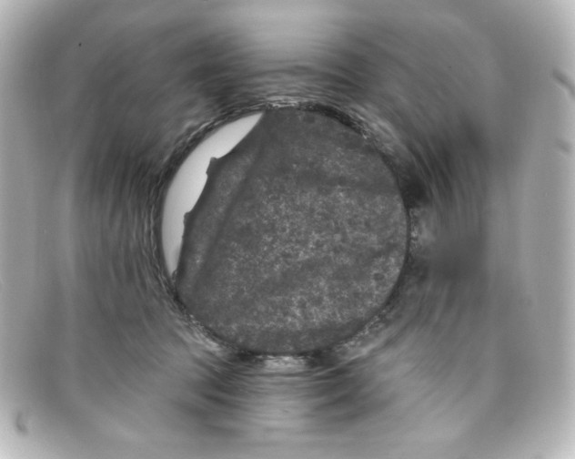 X0000098150369200805081047
