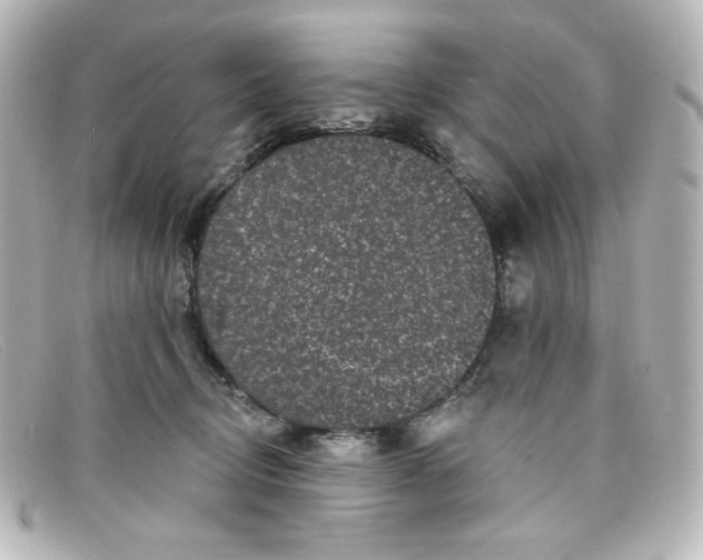 X0000098150370200805081047