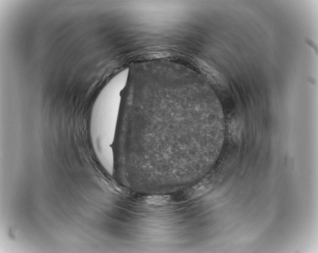 X0000098150373200805081047