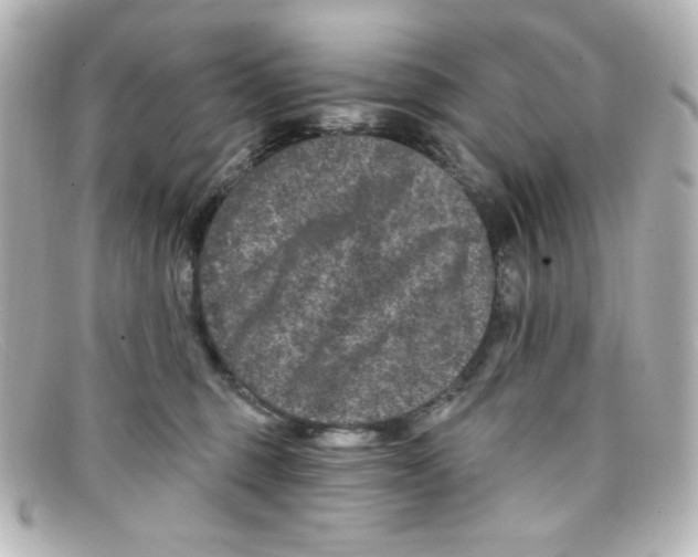 X0000098150375200805081047