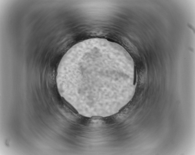 X0000098150376200805081047