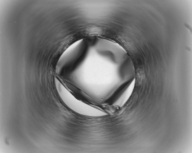 X0000098150379200805081047