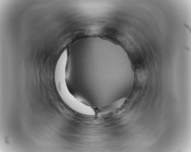 X0000098150380200805081047