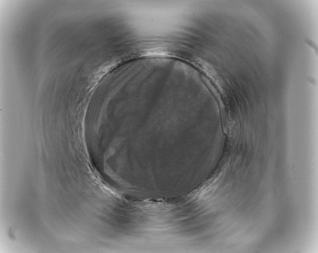 X0000098150385200805081046