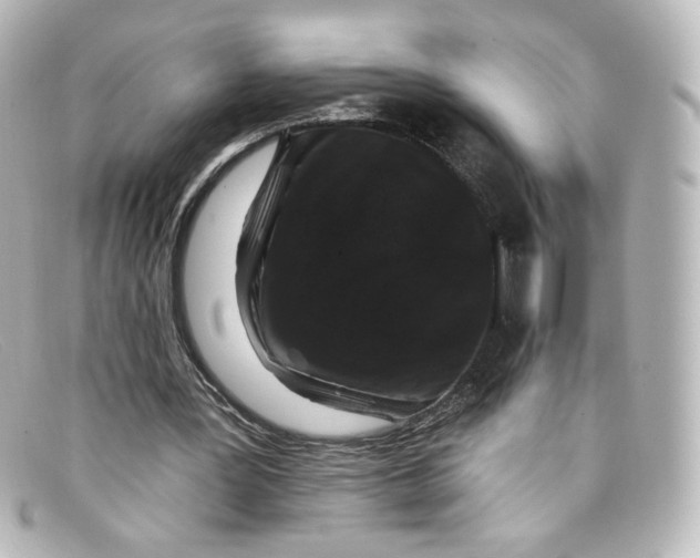 X0000098150387200805081046