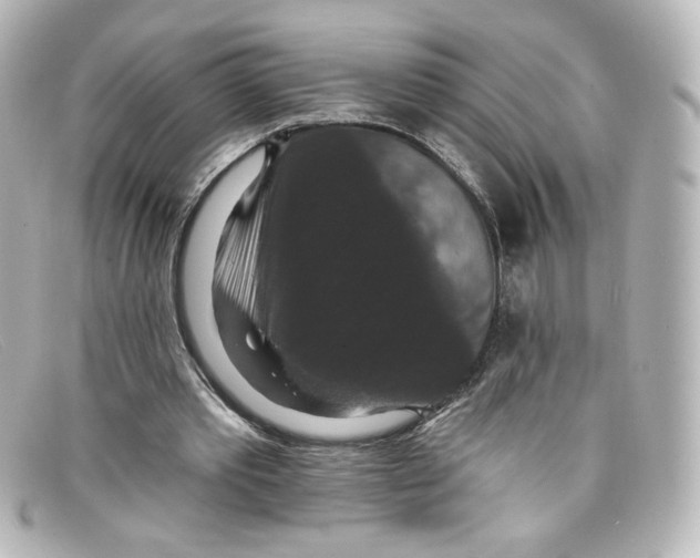 X0000098150389200805081046