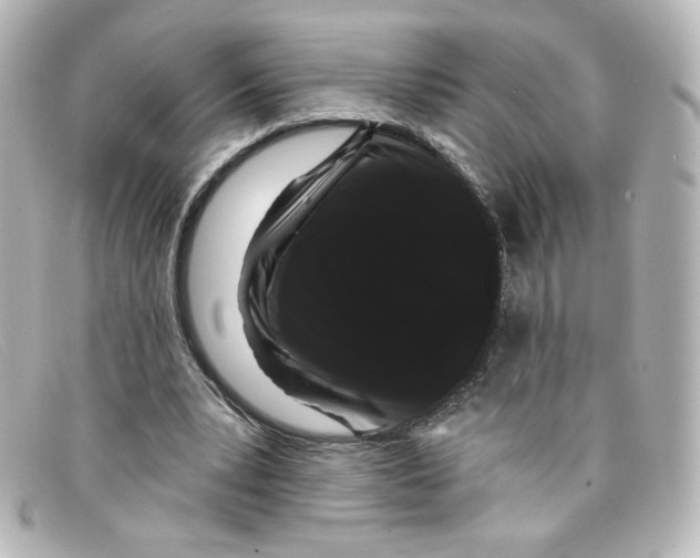 X0000098150391200805081046