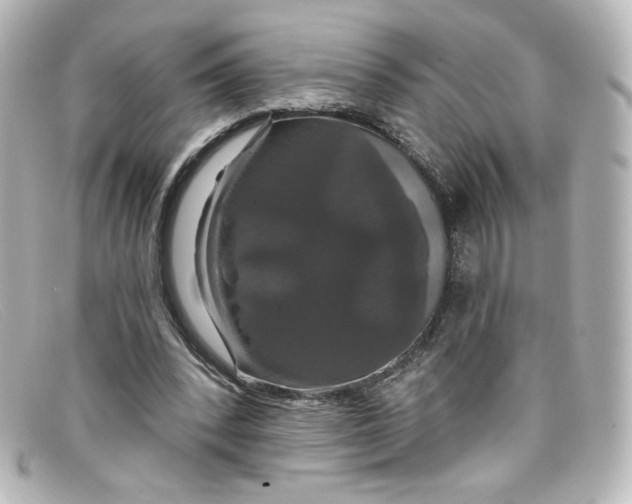 X0000098150392200805081046