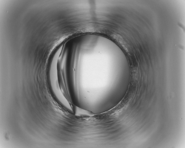 X0000098150395200805081046