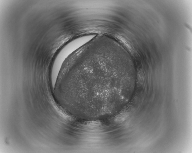 X0000098150398200805081046