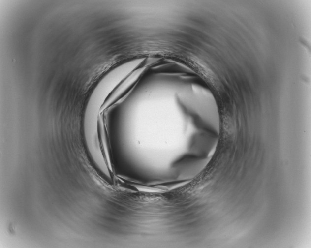 X0000098150401200805081046