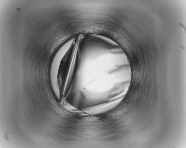 X0000098150403200805081046