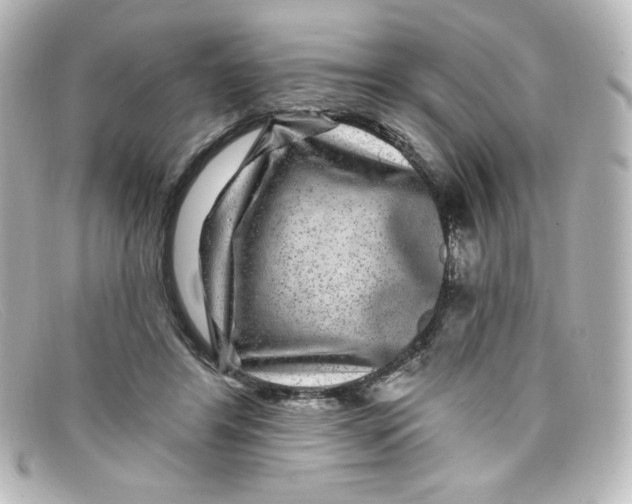 X0000098150404200805081046